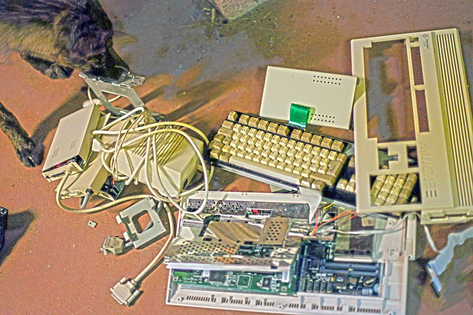 dead_amiga1200