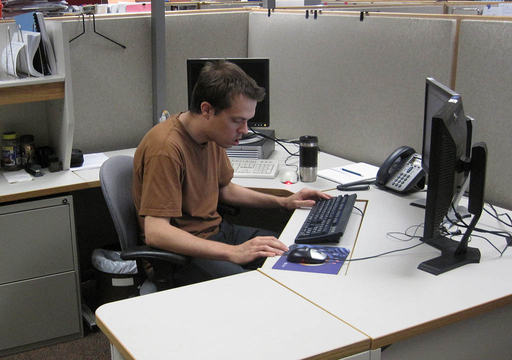 elz_assiduity_at_job