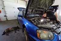 beryl_wrx_gowthik_shock_detector