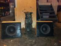 building_12_speaker_07_Beryl_scale