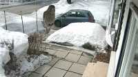 camera_oiseau_yaris