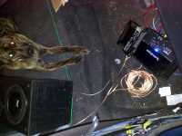 car_speaker_test