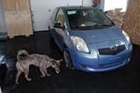carwash_toyota_clean_floor