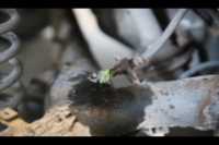 hydraulic_line_cut_rear_drum_brake