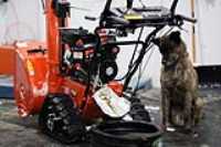 track_snowblower_oil_change_dog