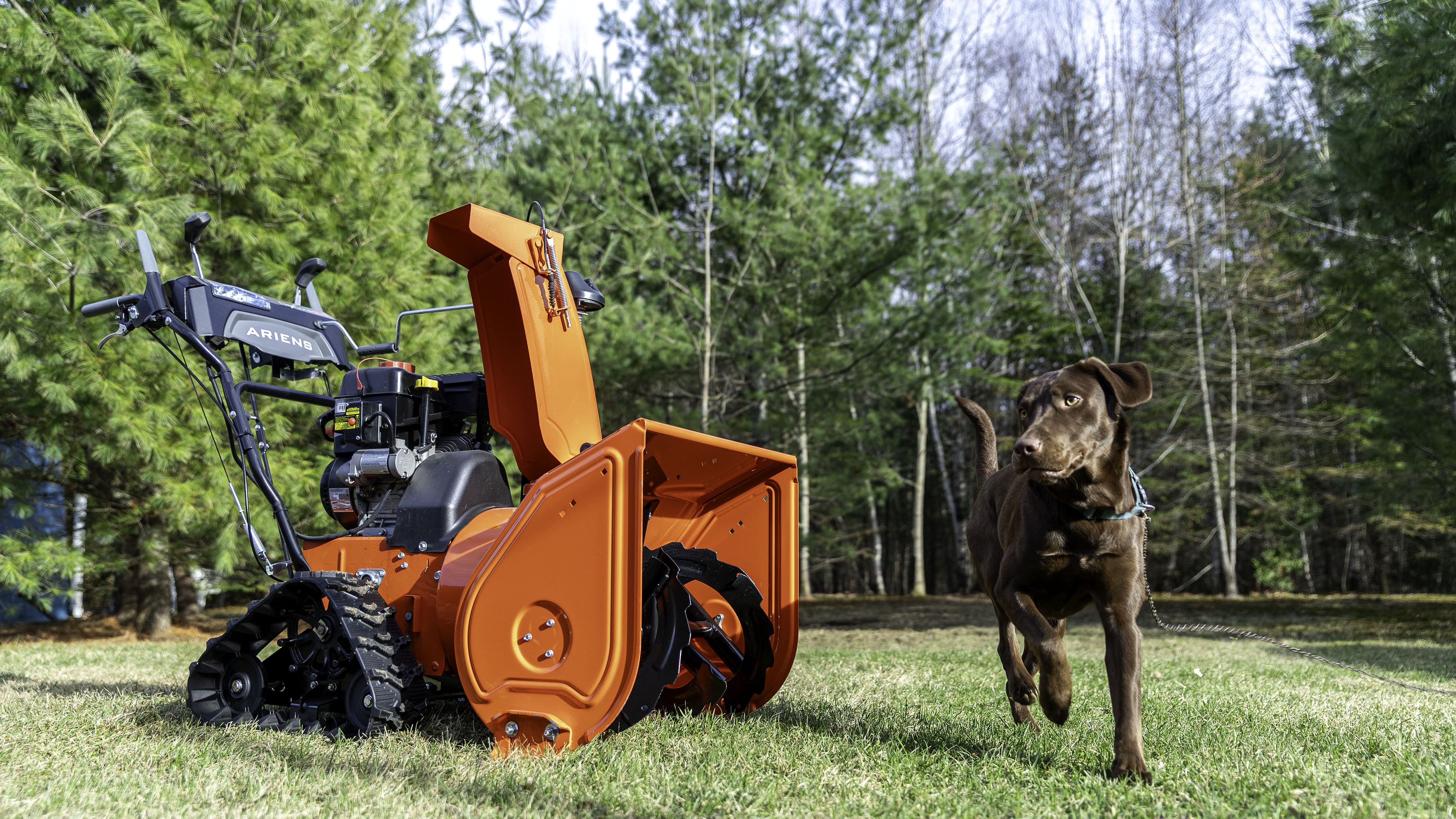 ariens_snowblower_yard_lawn_taiga
