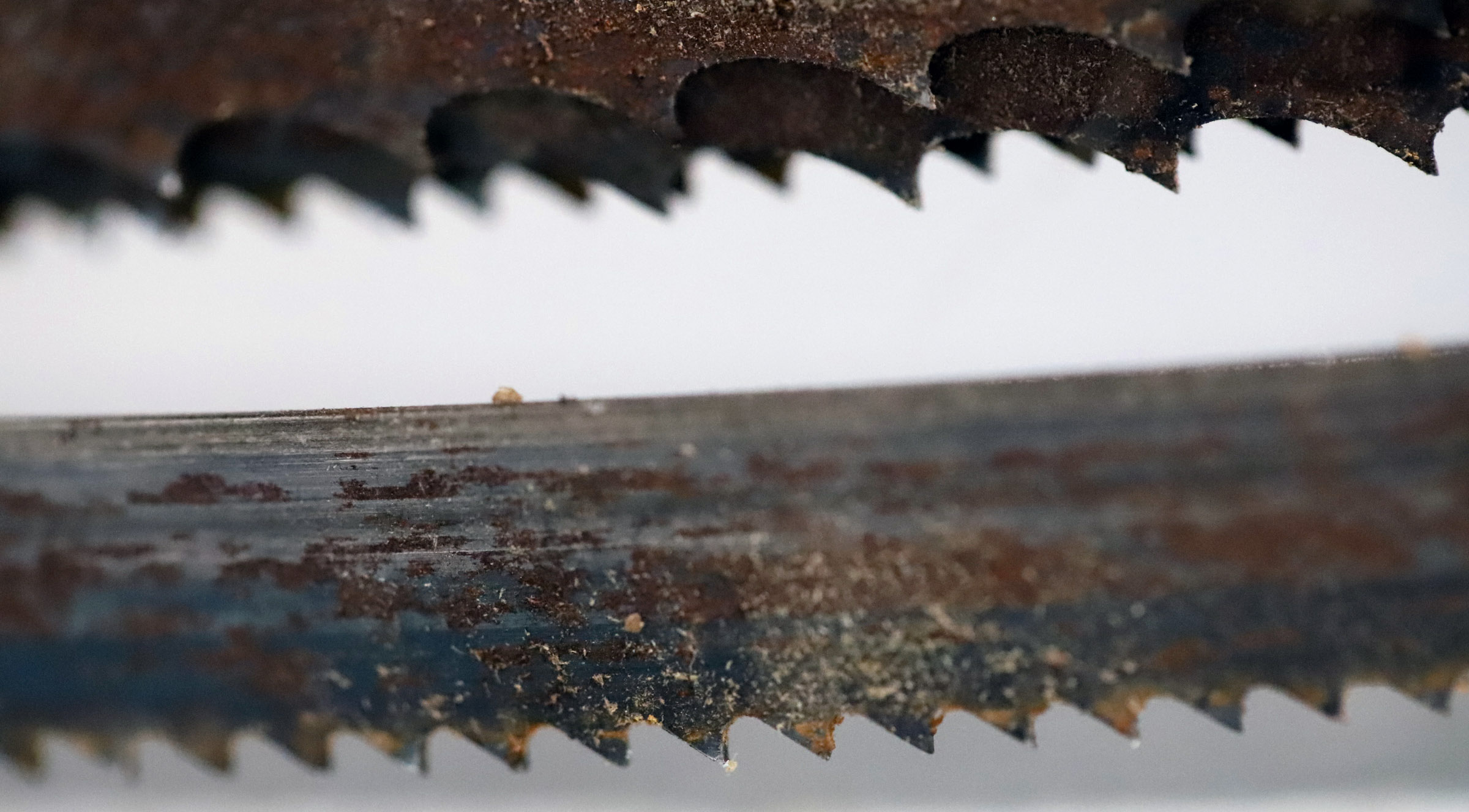 bandsaw_sharp_blade_macro