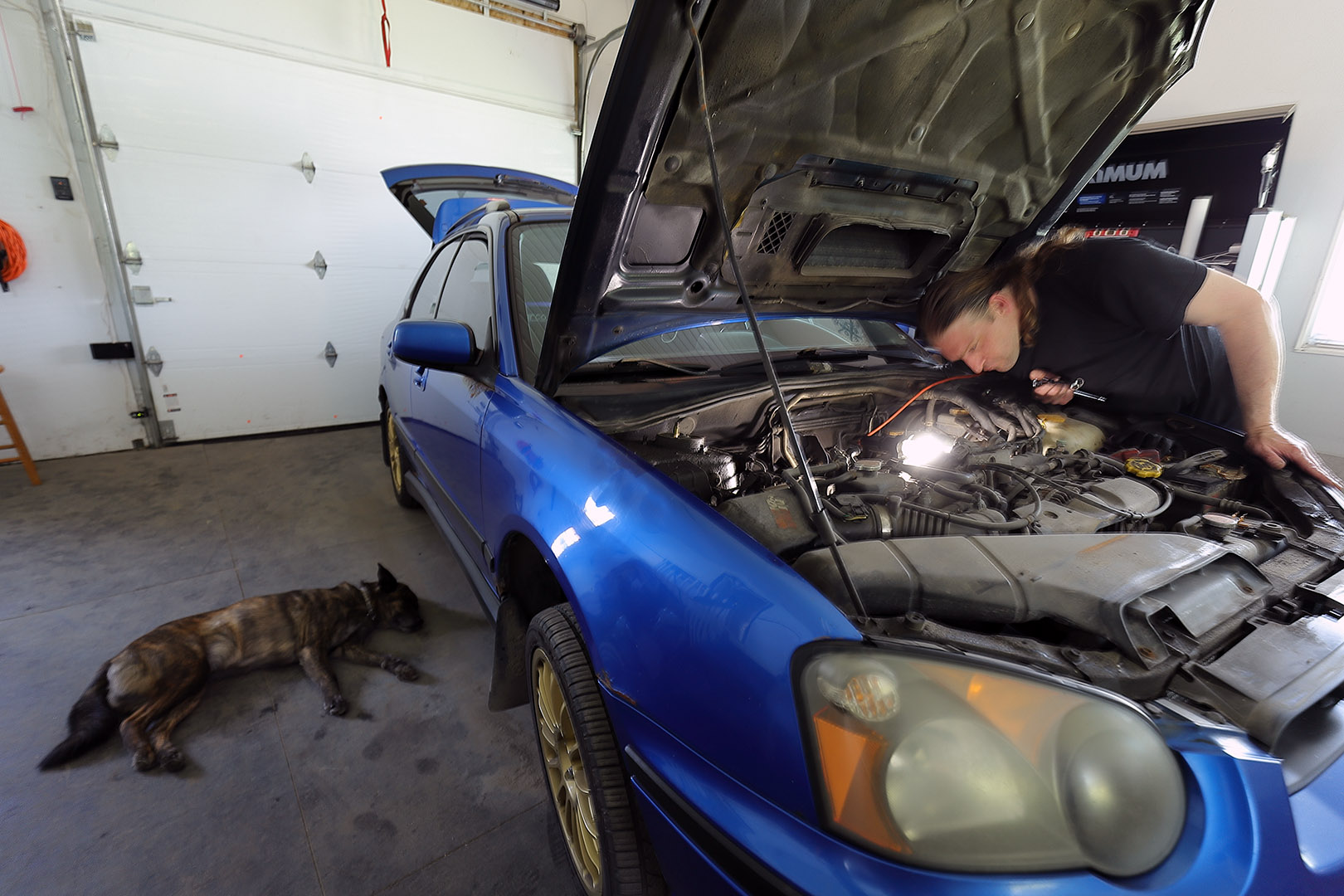 beryl_wrx_gowthik_shock_detector