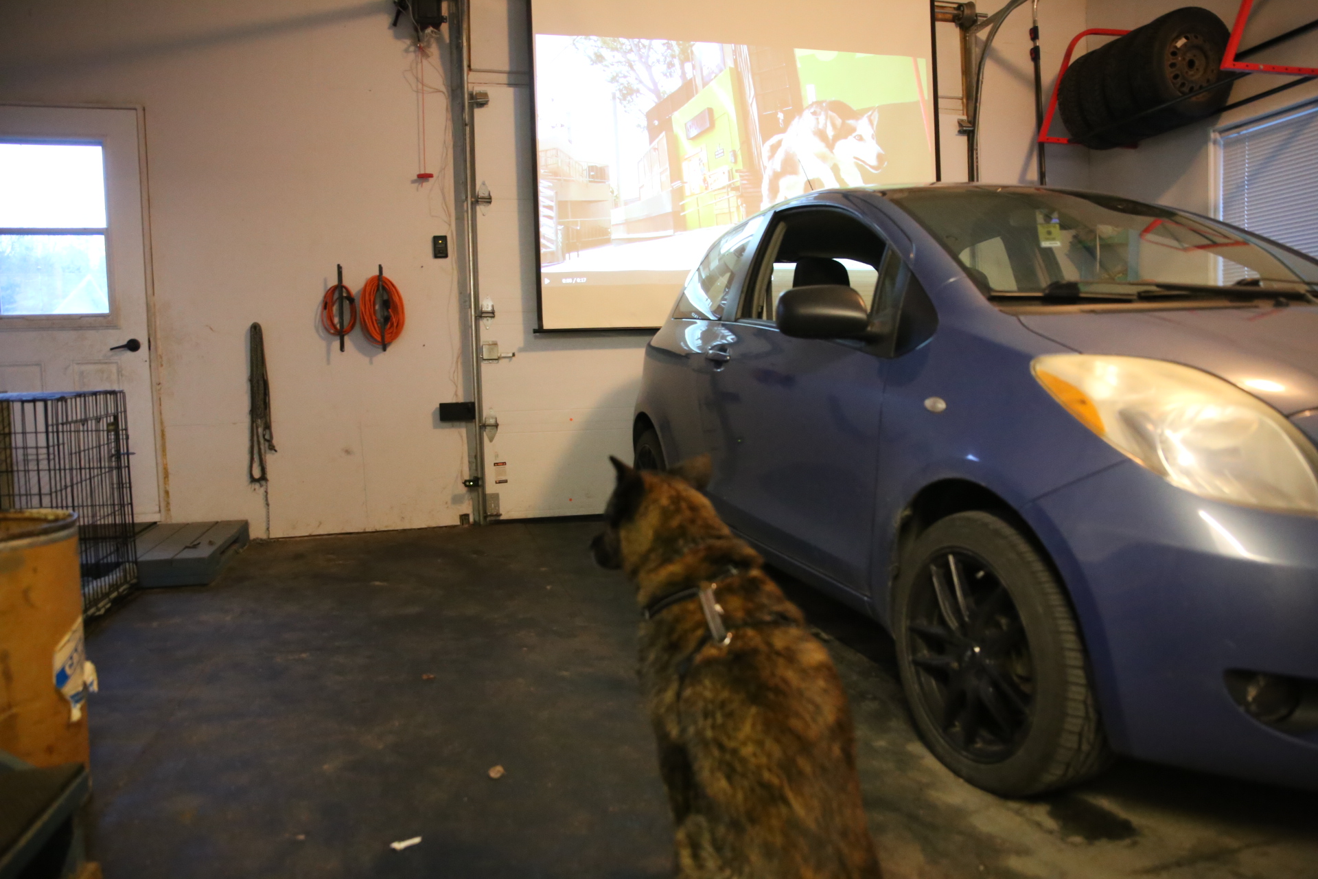 car_cinema_park_garage