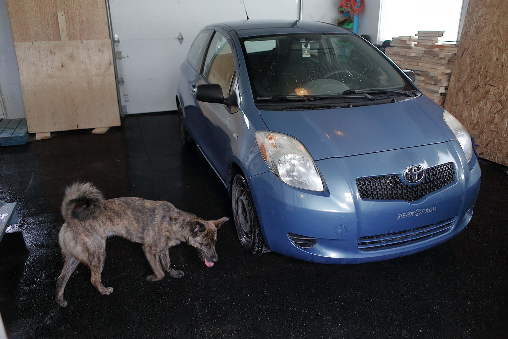 carwash_toyota_clean_floor