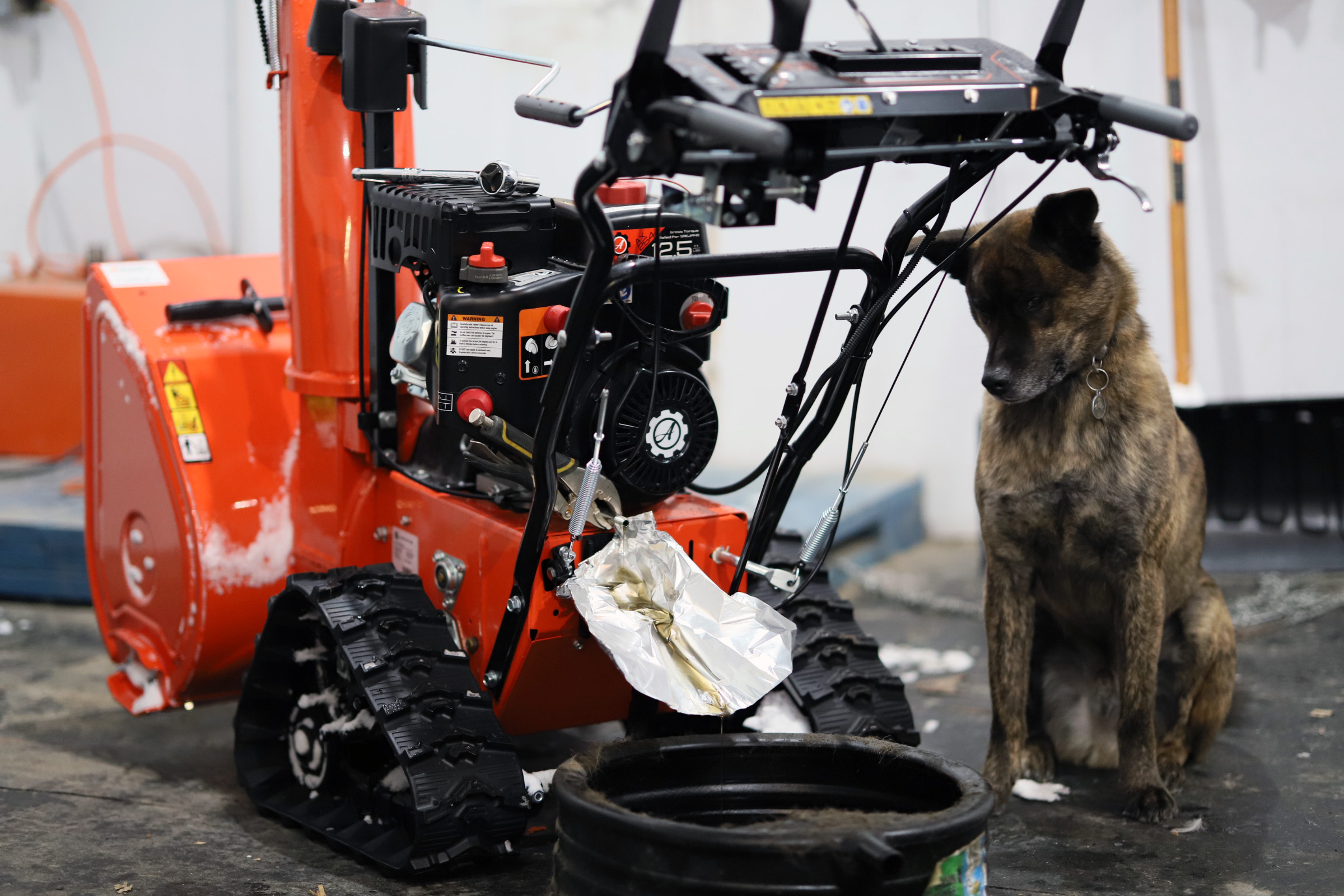 track_snowblower_oil_change_dog