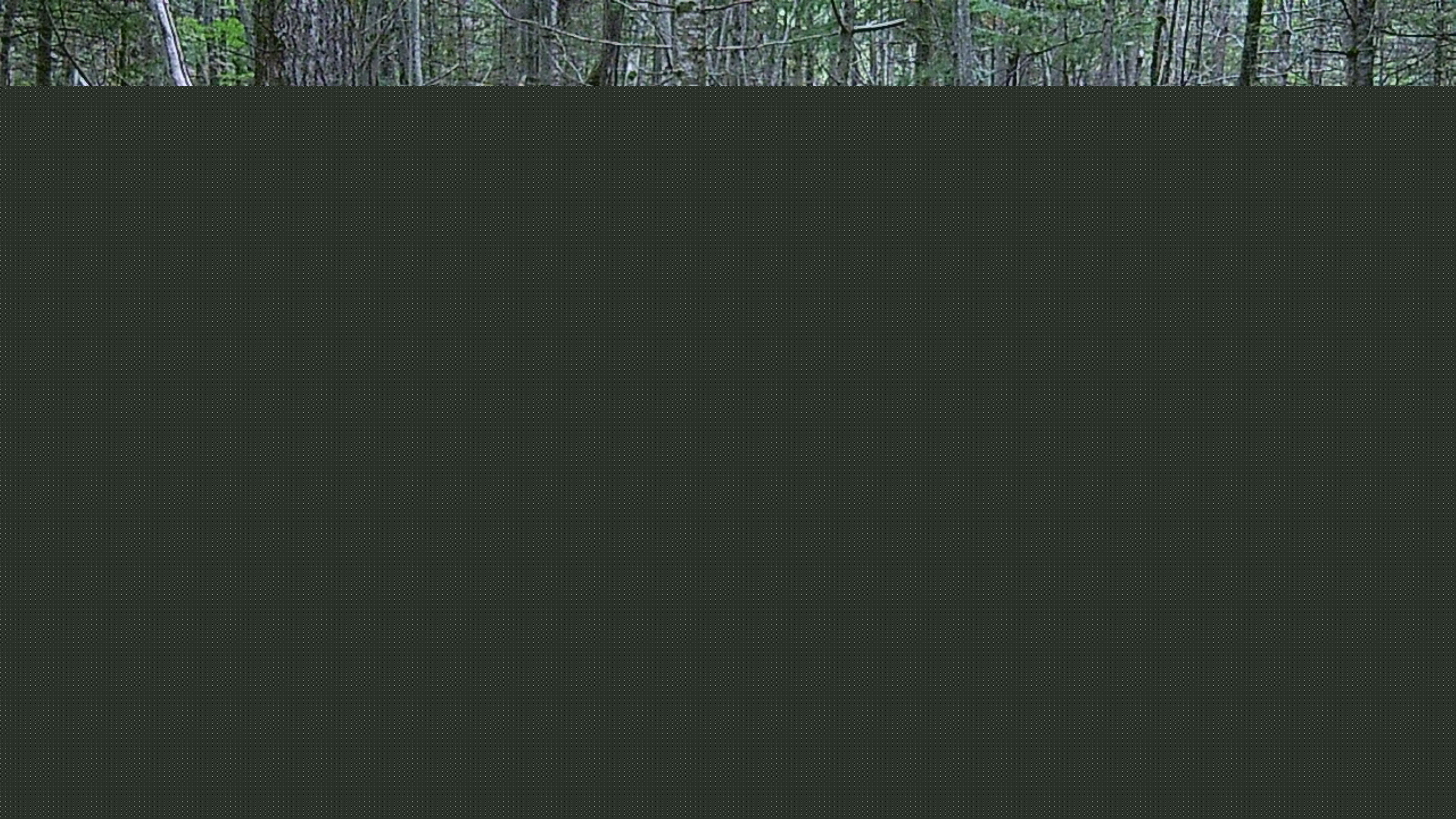 WGI_0663