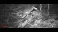WGI_0032