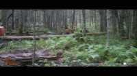 WGI_0361