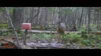 WGI_0675