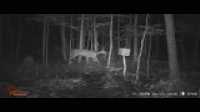 WGI_0765