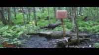 WGI_0781
