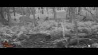 WGI_0785