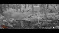 WGI_0791