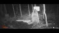WGI_0796