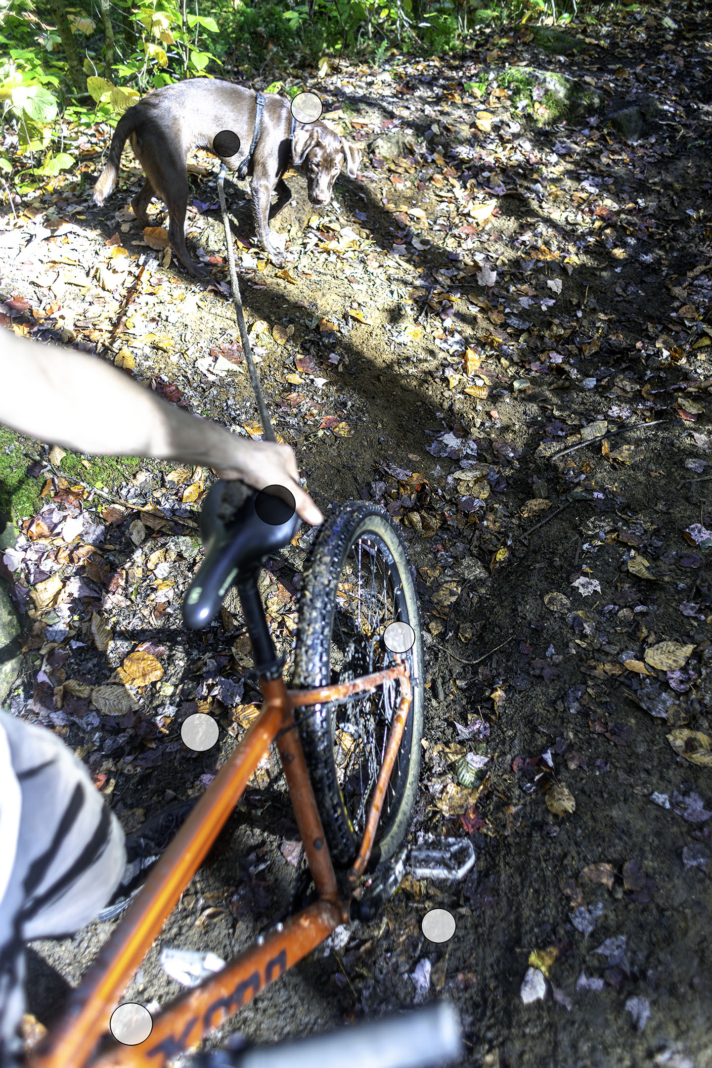 mudrunner_doggo_bike_winch_point