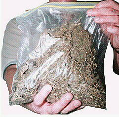 pound
