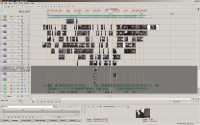 bateau_pirate_smb3_acid