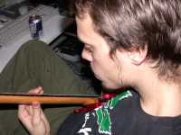 bruno_t