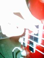 light_bass