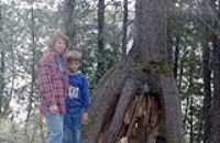 bruno_danielle_tree