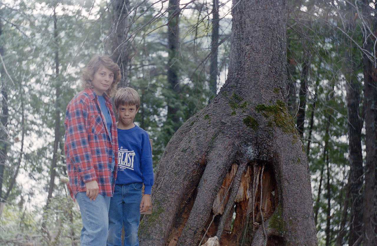 bruno_danielle_tree