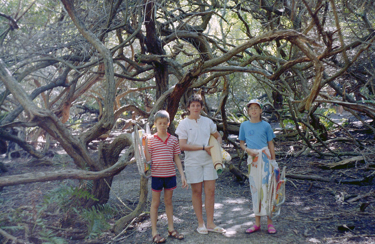 Bruno_Danielle_Adeline_arbre_floride