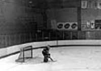 hockey_goaler