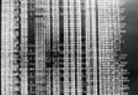 overexposed_dir