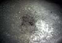 concrete