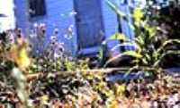 midpoint_paysage
