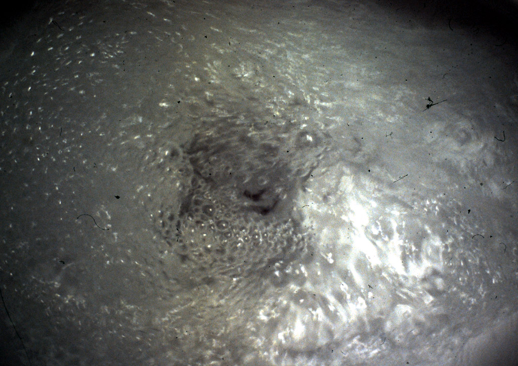 concrete