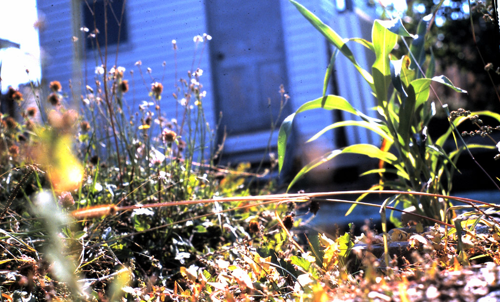 midpoint_paysage