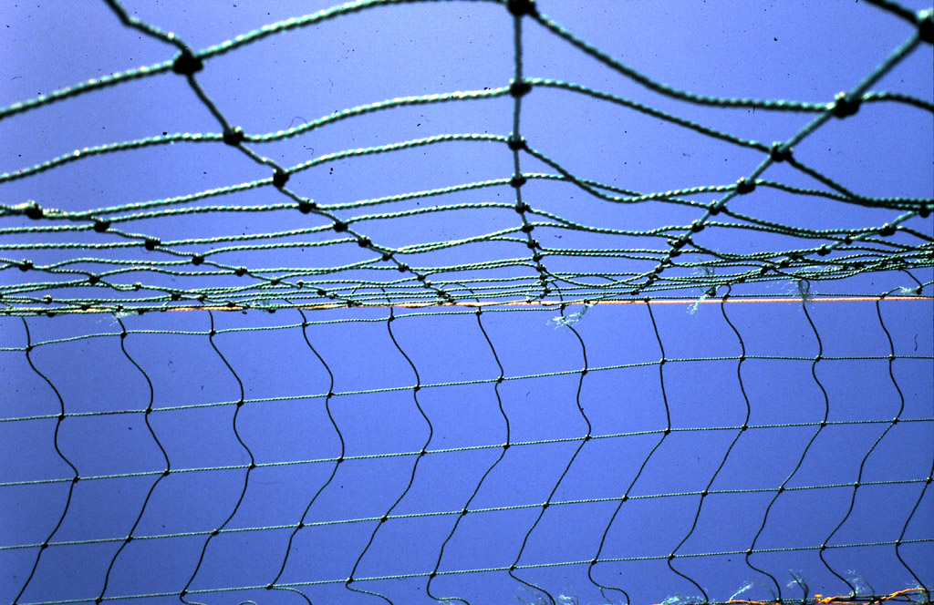 net
