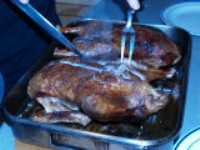 noel_2006_canard