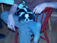 noel_2006_soya_jambes_bru