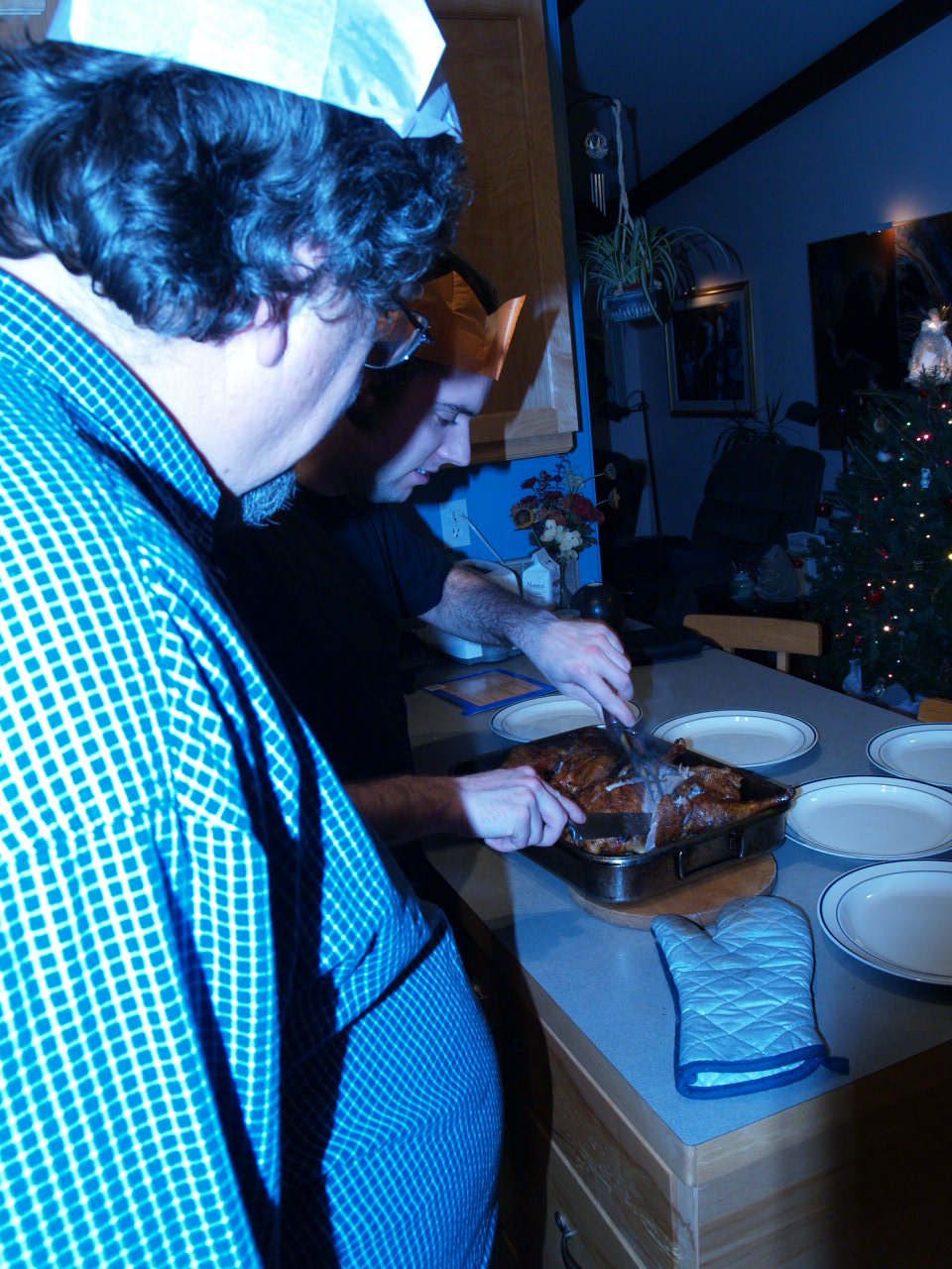 noel_2006_canard_ross