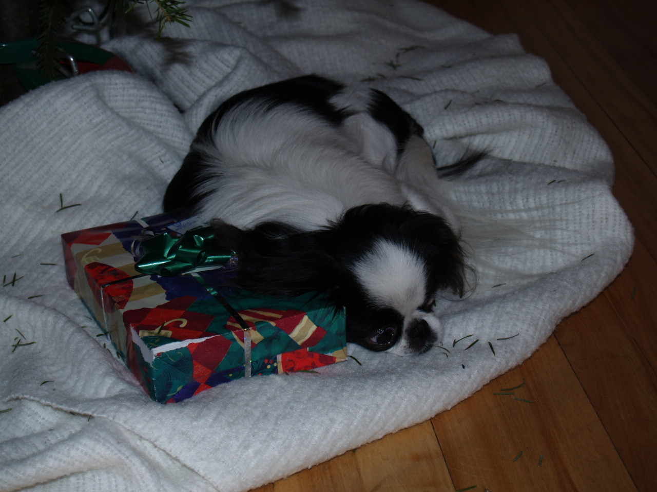 noel_2006_soya_cadeau