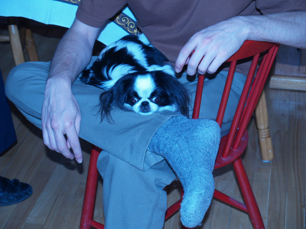 noel_2006_soya_jambes_bru