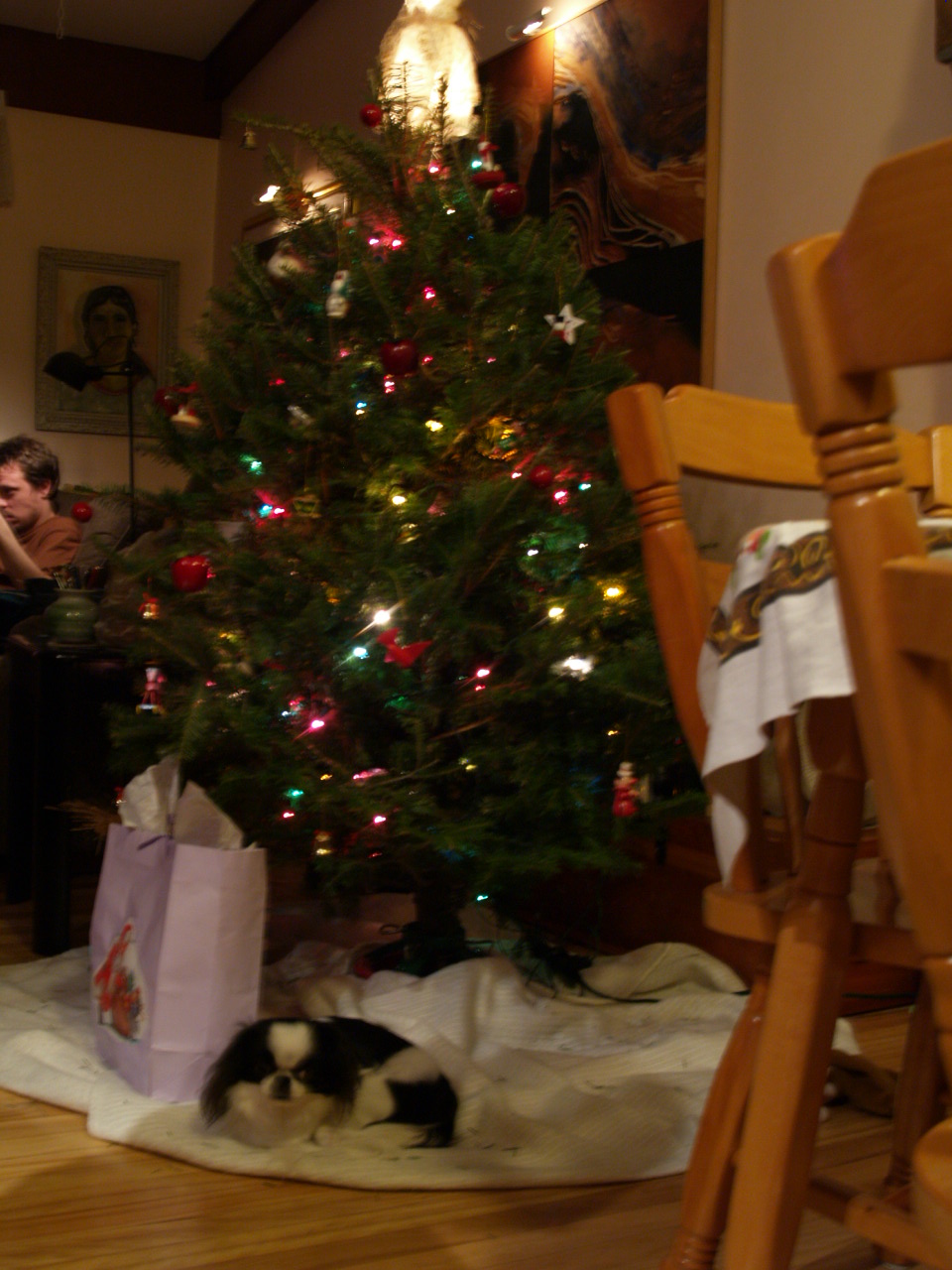 noel_2006_soya_sous_sapin