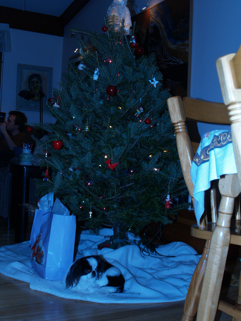 noel_2006_soya_sous_sapin_2