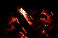 braise_feu_buche