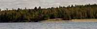 plage_foret
