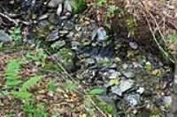 ruisseau