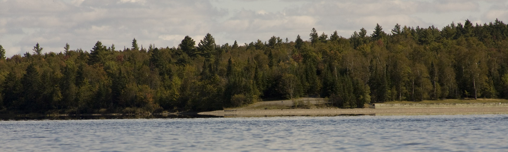 plage_foret